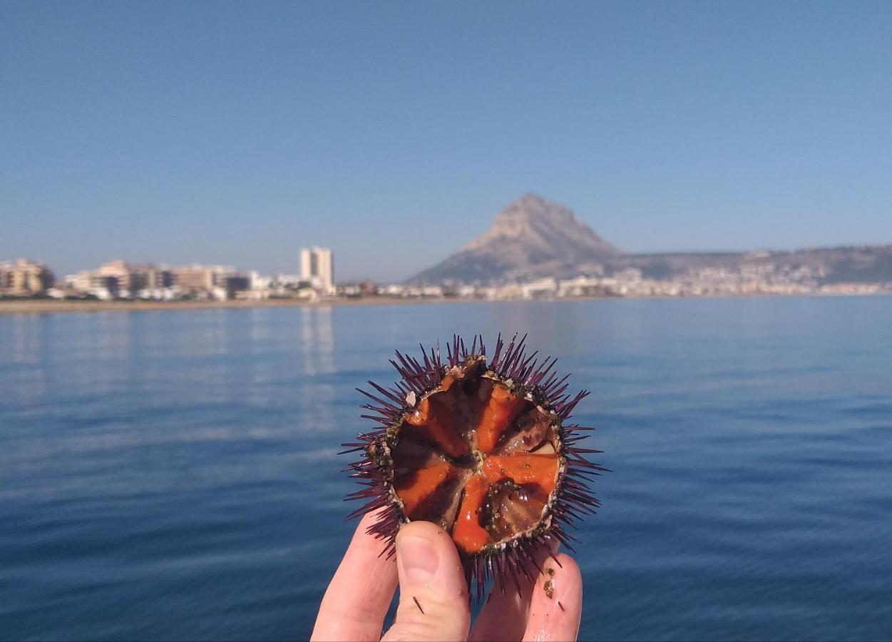 Apartmán Junto Al Mar Jávea Exteriér fotografie